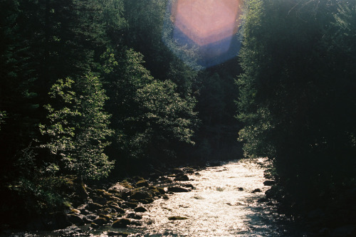 selfworthiseverything:  (by isabelle bertolini) 