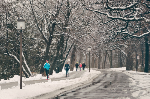 NOVEMBER 23, 2016 - 328/366THESE SNOW-COVERED BRANCHESAs seen at Lake Harriet this morning.