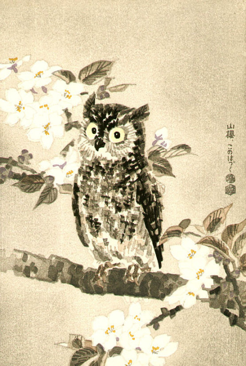 Kotozuka Eiichi (1906-1976)   琴塚英一 Owl and Cherry Blossoms, ca.1950′s