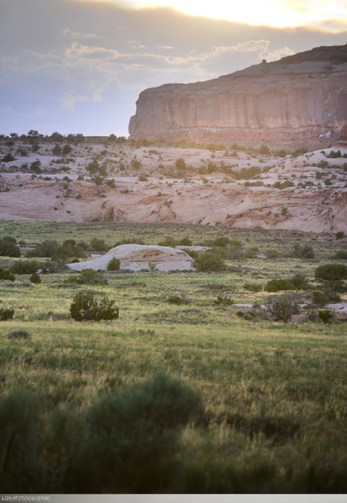kas-e:Utah at Random