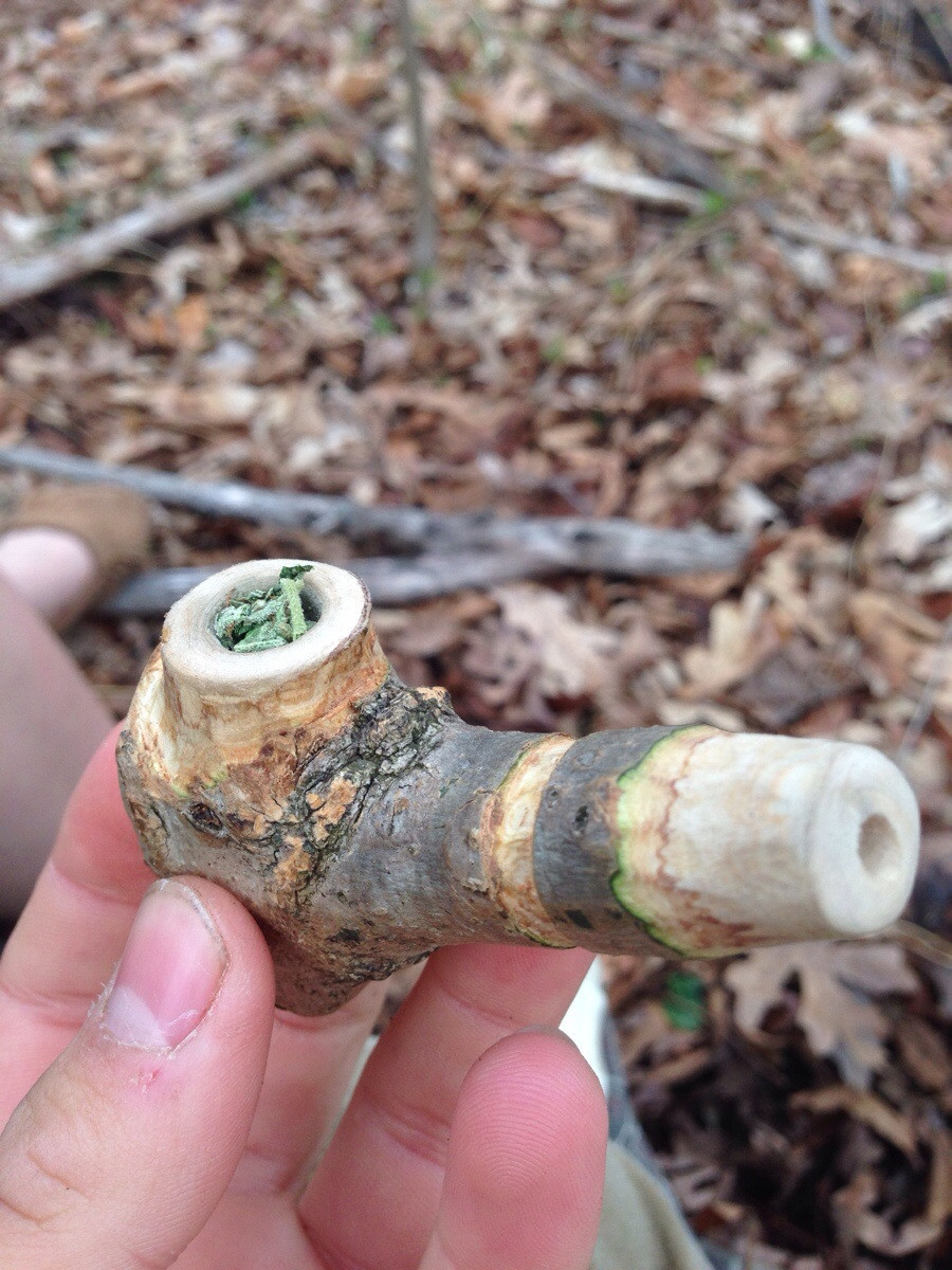 reddlr-trees:  Made a wood pipe last week and tried it out yesterday after school