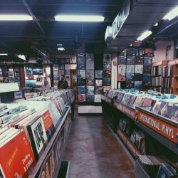 wicgirl:  record store in berkeley 