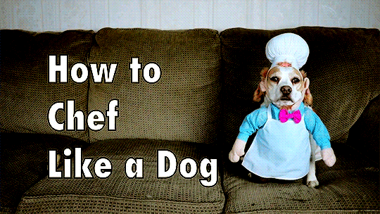 Video: How to Chef Like a Dog