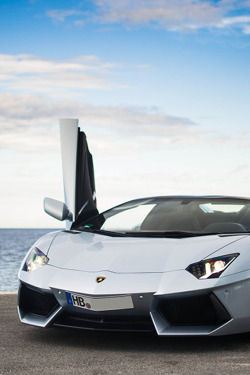 adornstudio:  Roadster | © | AS 