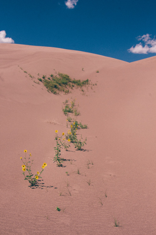 Porn karl-shakur:  Great Sands by Karl-Shakur photos