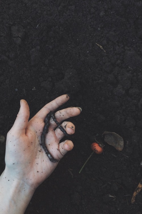 Those things I do | Guerneville, CA prints | vscogrid | instagram | magcloud | flickr | twitter