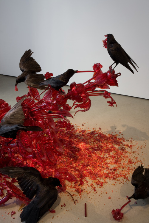 himinbjorg-bound: lady-decay:        Ten stuffed crows carefully placed on a shattered red chandelier to look as if they were feasting on a dead animal.    Javier Perez 