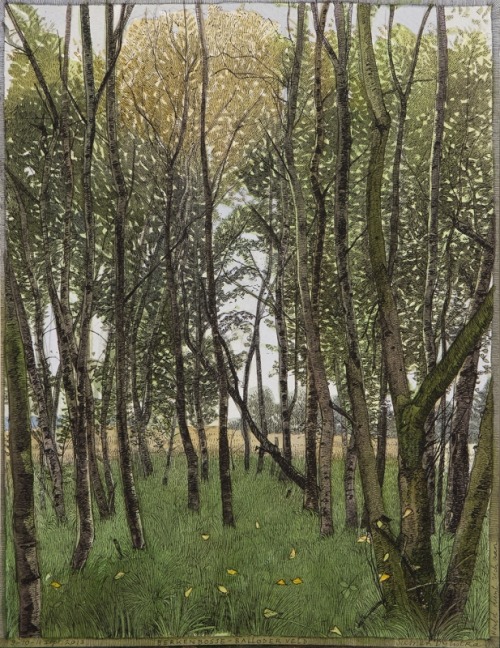 Landscape, Drenthe  -   Siemen Dijkstra Dutch, b.1968-Colour Woodcut