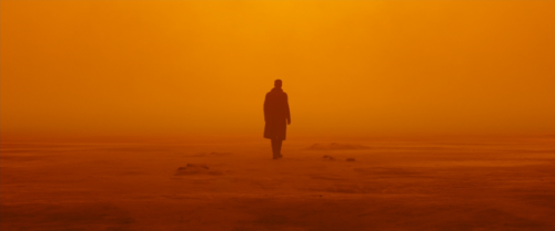 Blade Runner 2049, 2017Director: Denis VilleneuveDirector of Photography: Roger Deakins