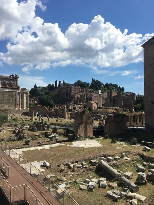 8 hours in Rome