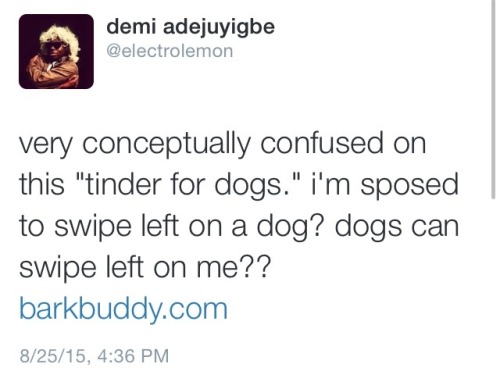 Literally no one would swipe left on a dog.