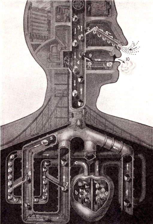 clawmarks:  Fritz Kahn 