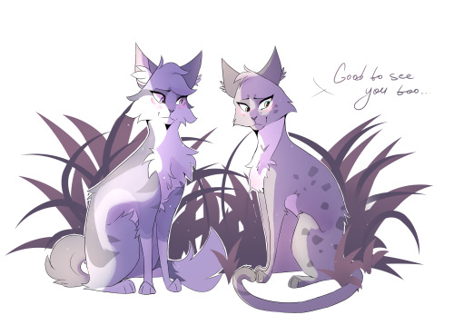 feathertail/ferncloud!!