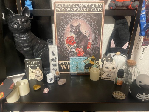 My Altars For Bast And Persephone !