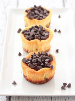 fullcravings:  Mini Chocolate chip Cheesecakes