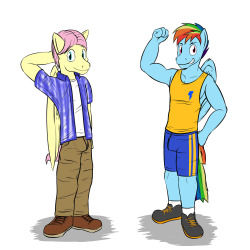 A couple of anthro pegasi