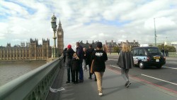 Una vuelta por la famosa ciudad de Londres.