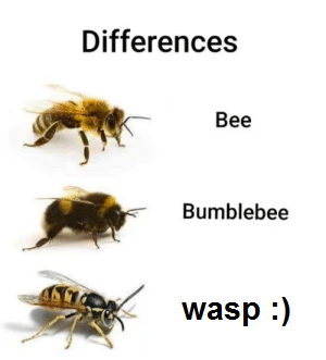 chipcookies:new hobby: editing anti-wasp memes to be pro-wasp. spreading my waspaganda  I love 