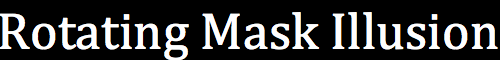 ylatayaeray:The mask depicted above is hollow. One side is concave the other, convex. However despit