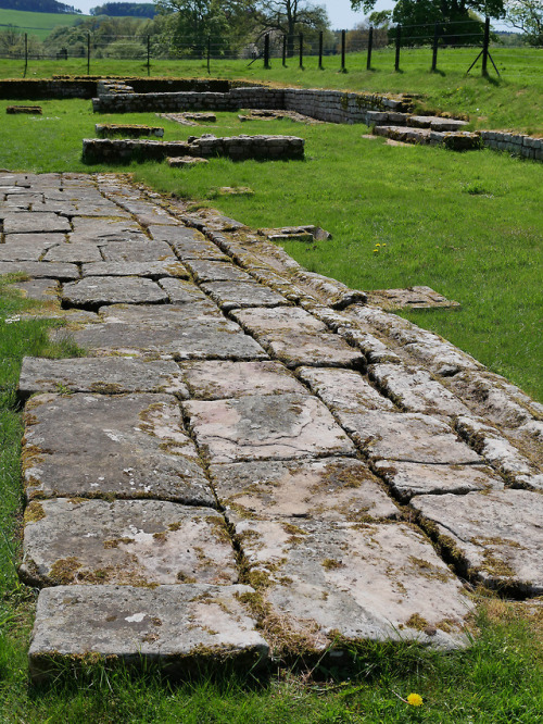 Central Hall, Shrine and Courtyard, Chesters Roman Fort, Hadrian’s Wall, Northumberland, 13.5.18.Thi