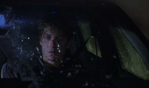 alfredsnightmare:Crash (David Cronenberg, 1996)