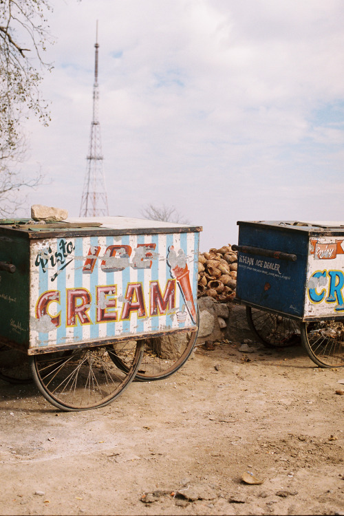 India 2013: Cow and ice cream carts outside the temple.50mm, Nikon F4S, Kodak Portra 400.