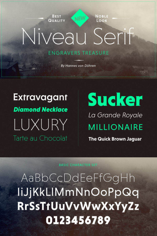 Niveau Serif – HVD Fonts Type Family The Niveau Serif font family by type designer Hannes von Döhren (HVD Fonts).
Buy the Niveau Grotesk font family on MyFonts.com
More information about the Niveau Serif font family on WE AND THE COLOR.
Font Reviews...