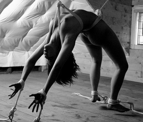 Rope Bondage Master