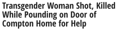 liminalgreys:  gojikas:   [DECEMBER 4, 2014] Police were investigating the death of a 21-year-old transgender woman who was gunned down while pounding on the front door of a Compton home seeking help. Deshawnda Sanchez was shot around 4 a.m. Wednesday