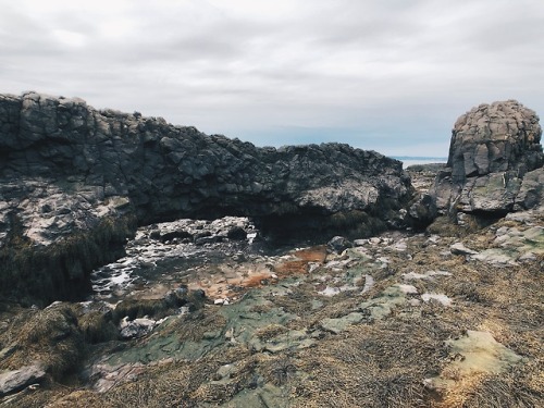 Baxter’s Harbour | April 2018