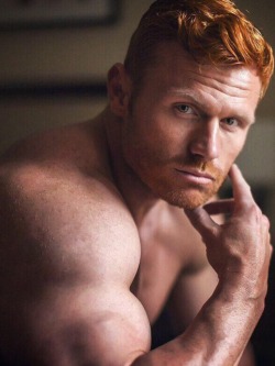 lowhung505:  wetdreamoblackdom:  gingerbumjoey01:  Ginger beef   I love a hot ginger   FOLLOW LOWHUNG505 @ http:// lowhung505.tumblr.com Over 37,000 Followers!
