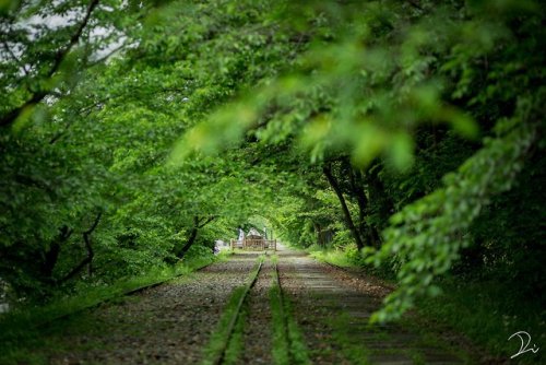 tanuki-kimono:  Four seasons on an abandoned railway, by  @usalica Original title uses the expression “shunkashuto” (春夏秋冬, lit  “spring, summer, autumn and winter”), which is a yojijukugo - a 4 kanji expression - which reads simply as