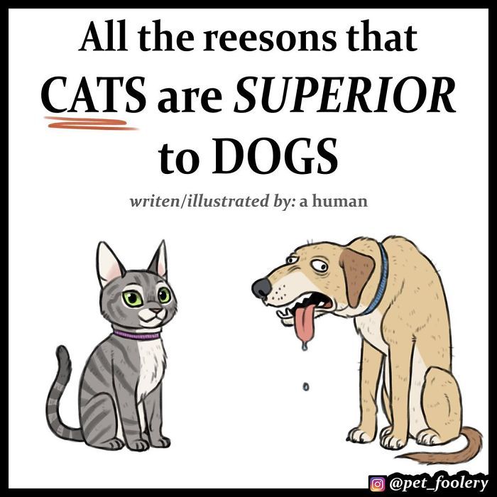 catsbeaversandducks: By Pet Foolery