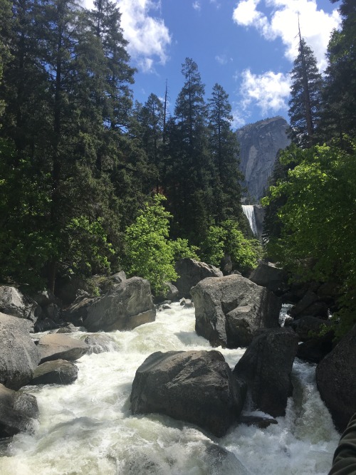 wildandlux: Yosemite National Park, California