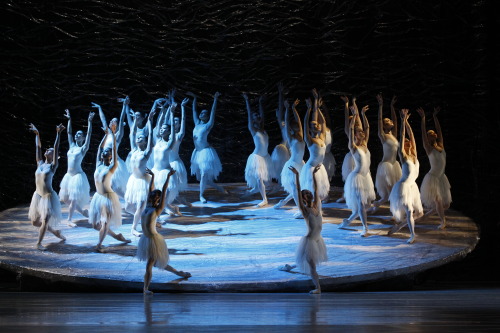 Graeme Murphy’s Original production of Swan Lake. (The Corps de Ballet from the Australian Bal