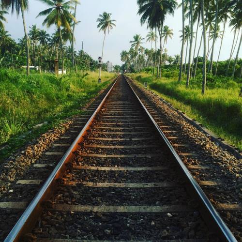 javierweyler: The Sri Lankan way to travel #srilanka #trainsbythebeach #beach #jungle