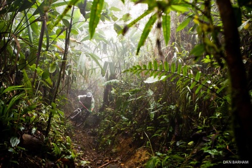 chirosangaku:  Photo of the Day: Dan Barham - BIKE Magazine