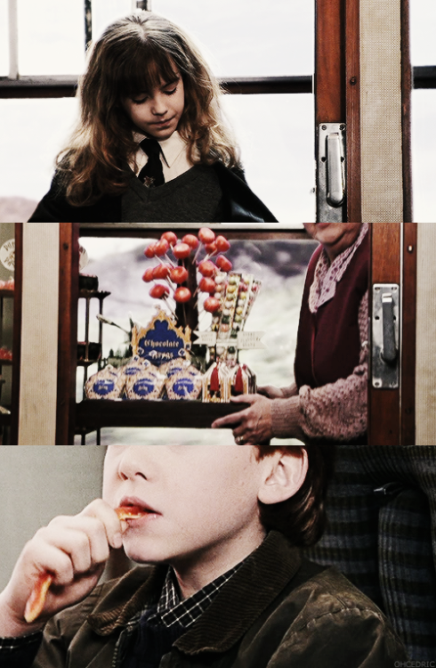 ohcedric:the beginning of a long journey