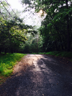 countrycrownandthrone:  It poured on my walk