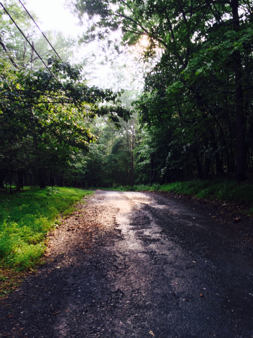 XXX countrycrownandthrone:  It poured on my walk photo