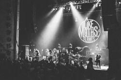  Like Moths To Flames. 