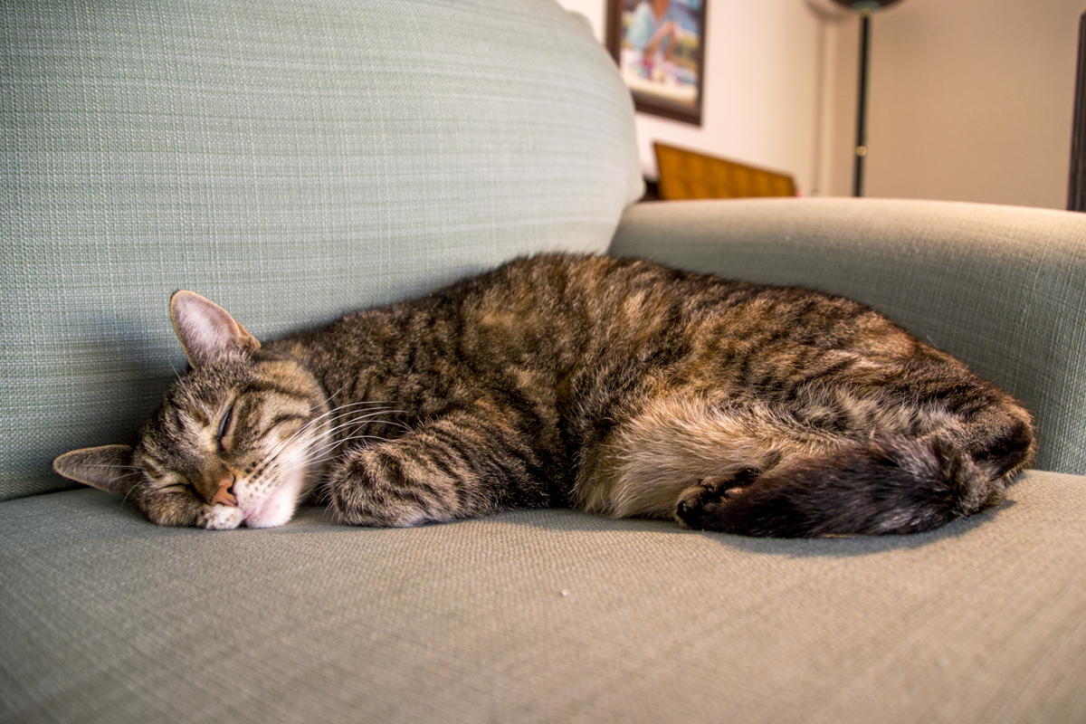 herm-a-lerm:  Bleeep~ 