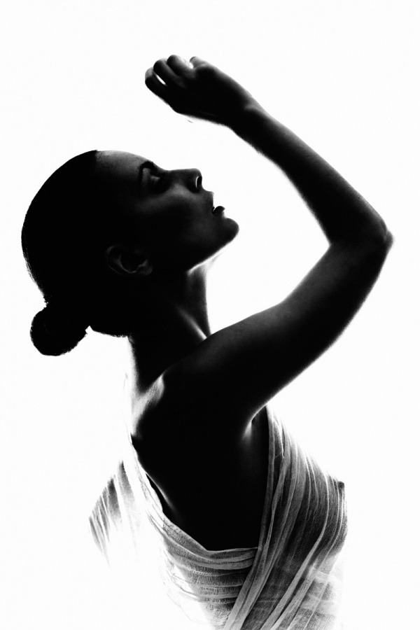 Elegant Saliciousness