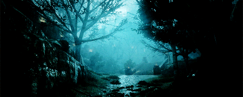 nlghtwlngs:THE FALLOW MIRE