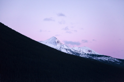 icefields parkway