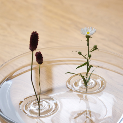 dominatemybody:  travelingcolors:   Floating Ripple Vases (by oodesign)   Fill your favorite container with water and float the vase. According to the movement of the air, the plants change their position within the container.     Omg so cool, I want