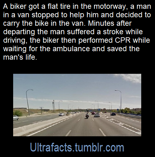 ultrafacts:  Source: [x]Follow Ultrafacts for more facts!