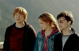 in-love-with-movies:Harry Potter and the Deathly Hallows: Part 2 (USA - UK, 2011)