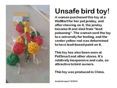 ghost-anus:  budgiecare:  please share this so people are aware this toy is NOT SAFE. Please be very very careful when buying toys for your birds, just because its labelled as a bird toy does not make it safe because unfortunately some companies care