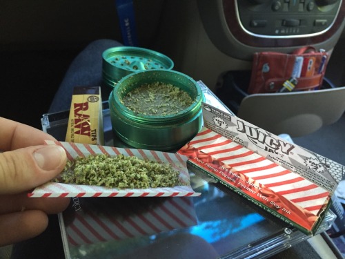 thisbitchishigh: fucksfortacos: thisbitchishigh:  if your juicy jays ain’t candy cane then nah  We h